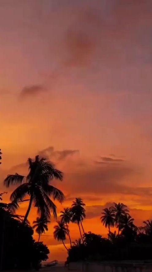 TikTok video thumbnail by xaidey_mv