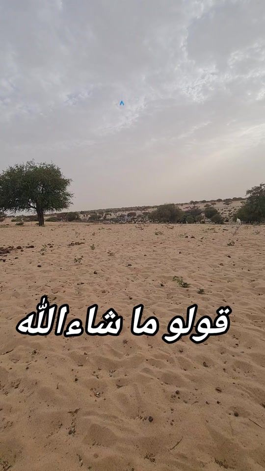 TikTok video thumbnail by 33a__235