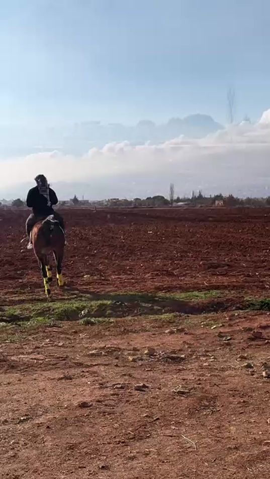 TikTok video thumbnail by alaasolh2