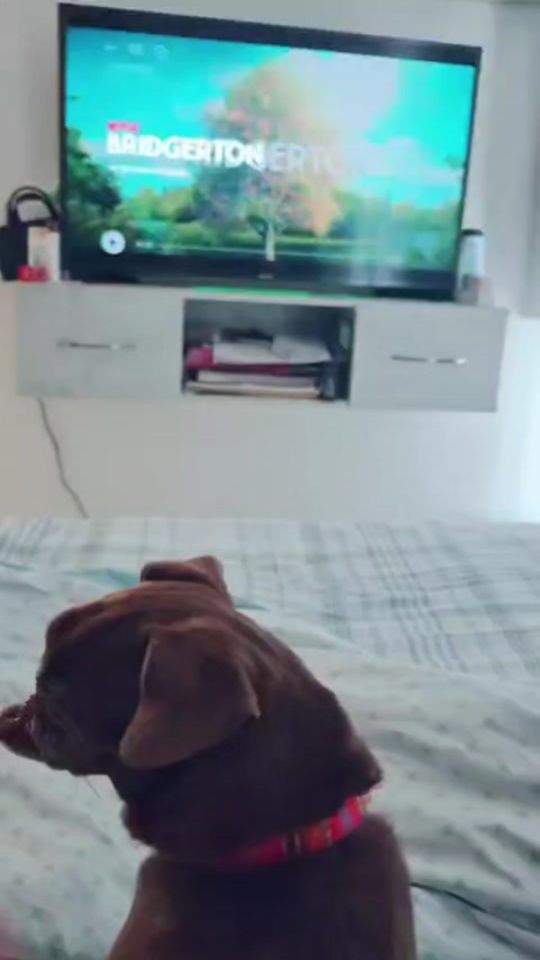 TikTok video thumbnail by rayito501