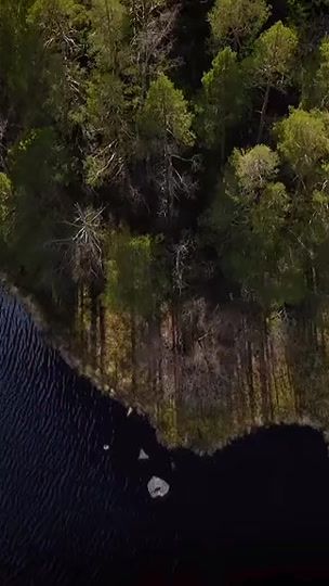 TikTok video thumbnail by s.a202220