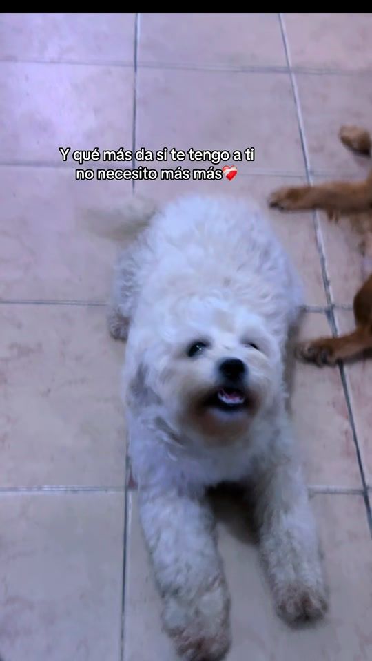 TikTok video thumbnail by gabycordero99