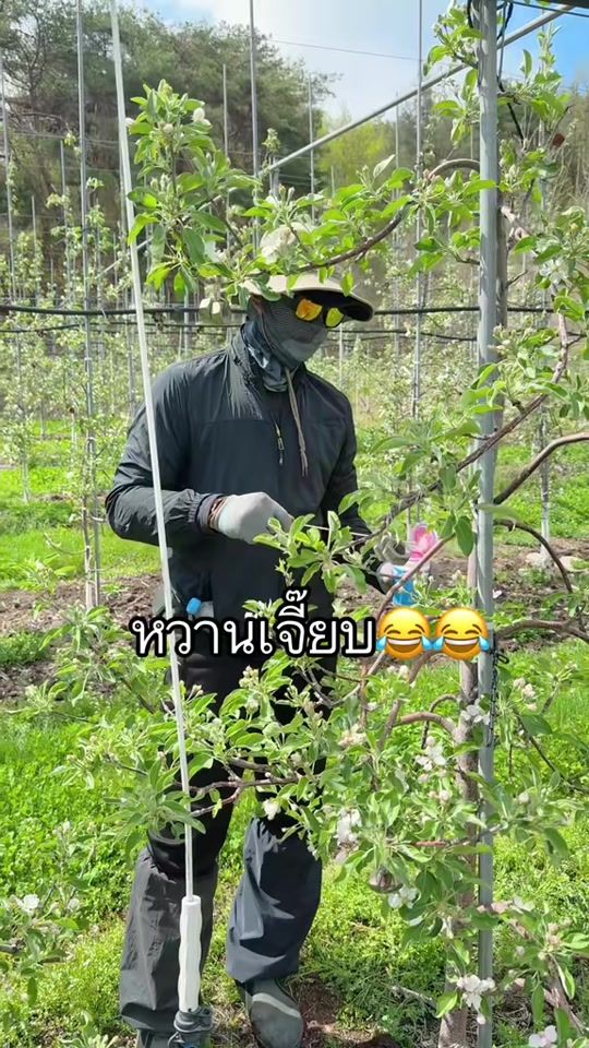 TikTok video thumbnail by yoyo44yoyo.44