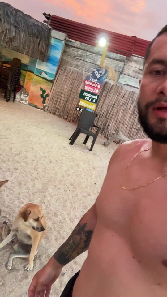 TikTok video thumbnail by jhersonvet