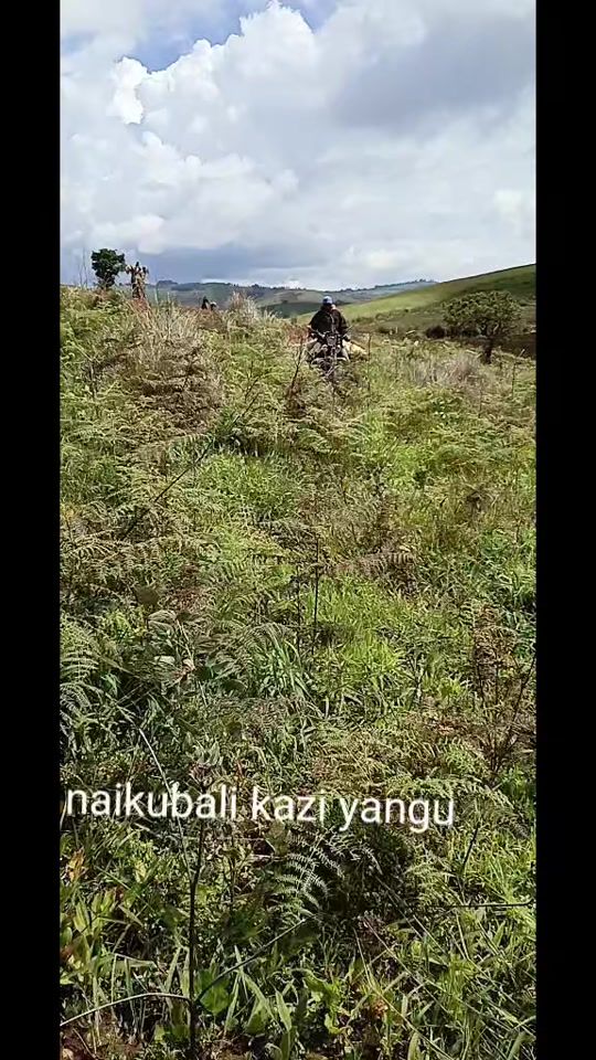 TikTok video thumbnail by agahmwalu1
