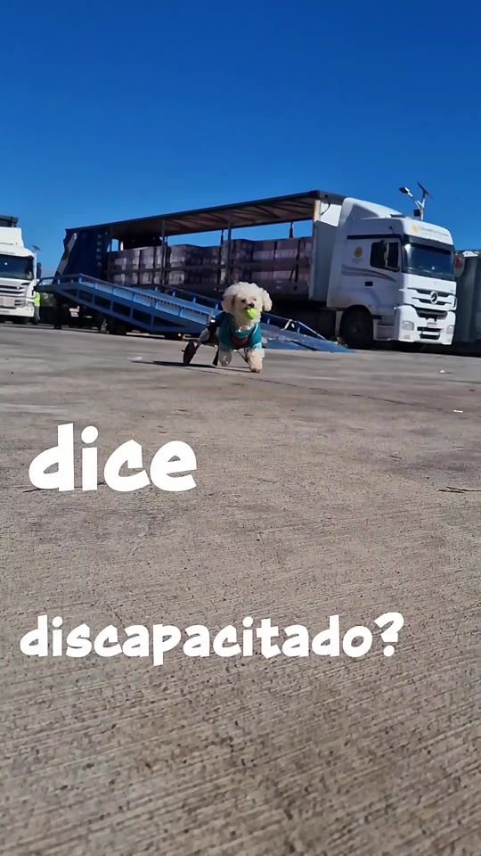 TikTok video thumbnail by brunoenrueditas