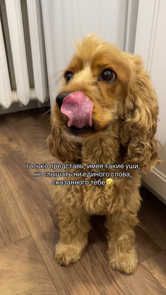 TikTok video thumbnail by ku4uk