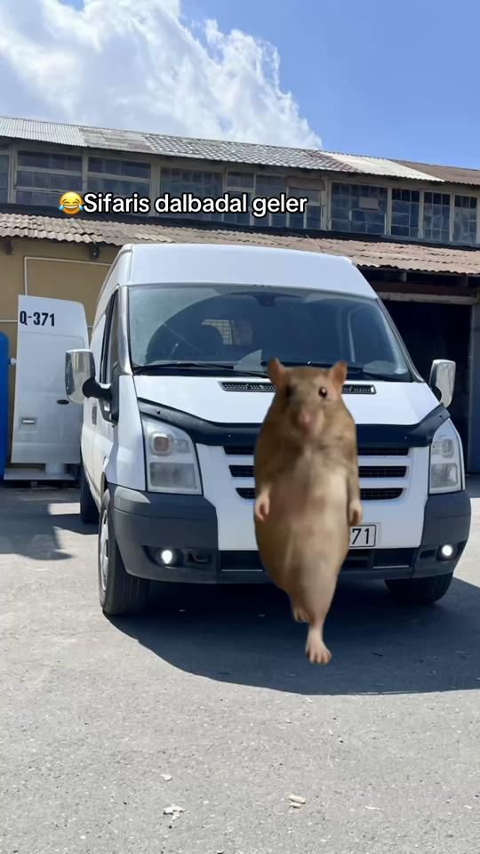 TikTok video thumbnail by 10_ns_371