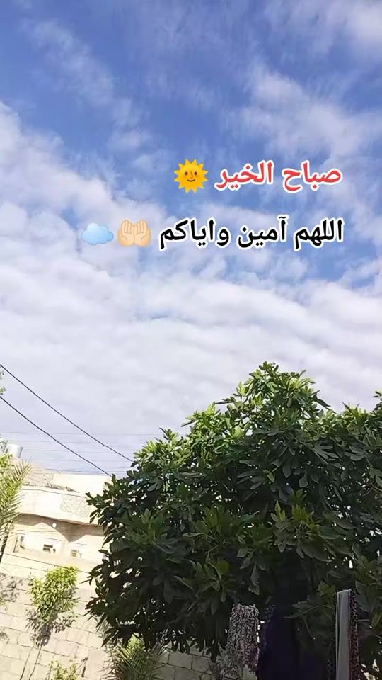 TikTok video thumbnail by _isf_p