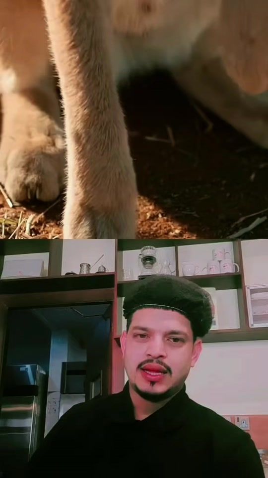 TikTok video thumbnail by kayesbinaliakbar2