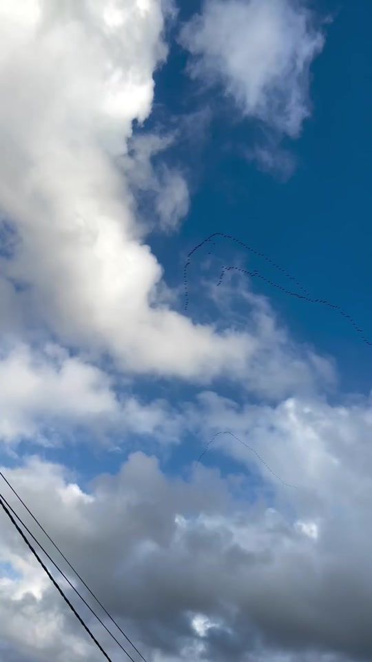 TikTok video thumbnail by manarrashaidh1