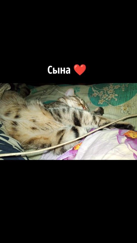 TikTok video thumbnail by wwtiknatasha
