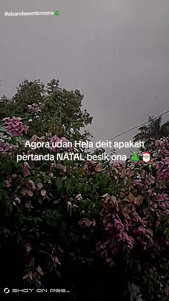 TikTok video thumbnail by jasonhalamadrid12