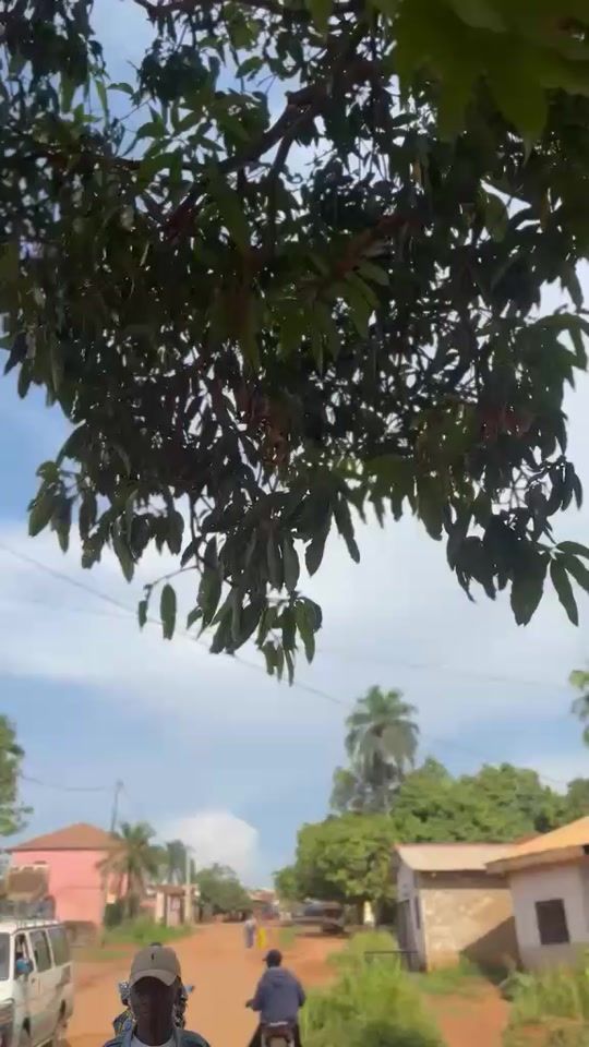 TikTok video thumbnail by le.duc132