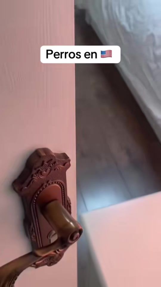 TikTok video thumbnail by xavistravis