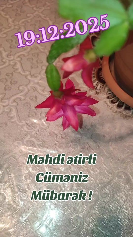 TikTok video thumbnail by gzl.gncm