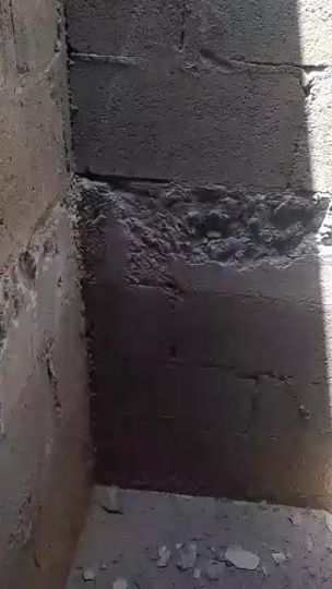 TikTok video thumbnail by elmingogt