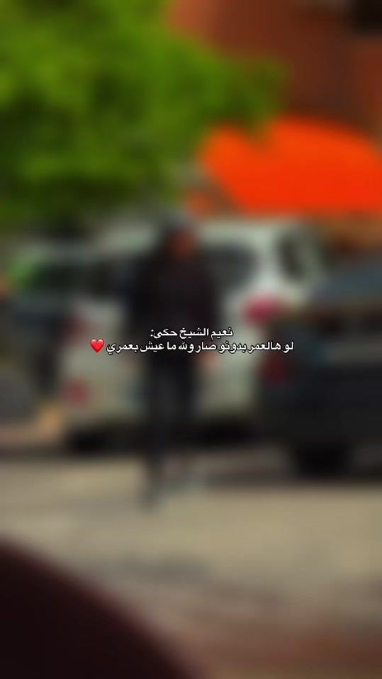 TikTok video thumbnail by nourmadi_
