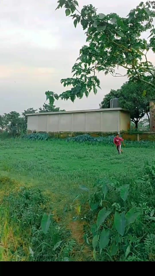 TikTok video thumbnail by mdsaiful2174