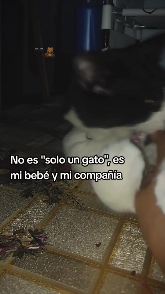 TikTok video thumbnail by melisablanco103