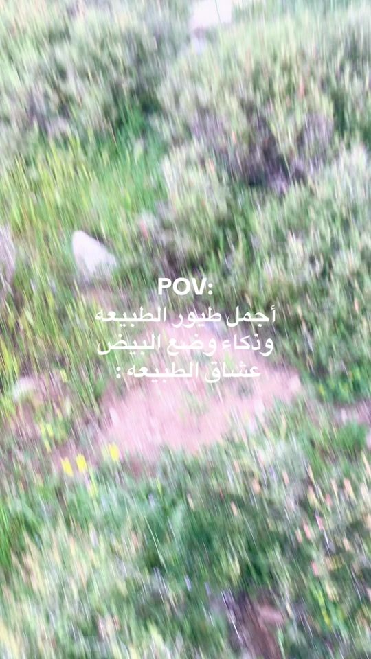 TikTok video thumbnail by .a._2002