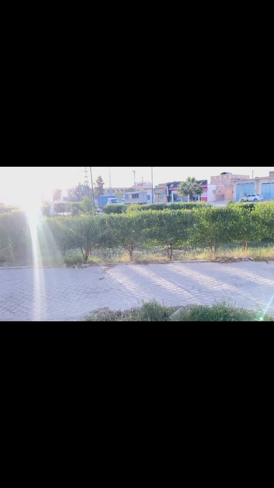 TikTok video thumbnail by ismail01_39
