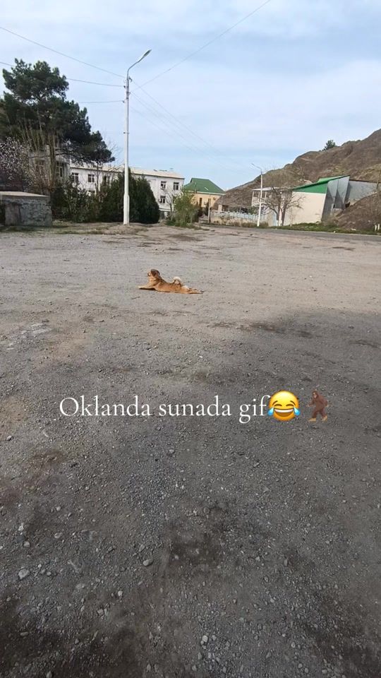TikTok video thumbnail by berdiska.07