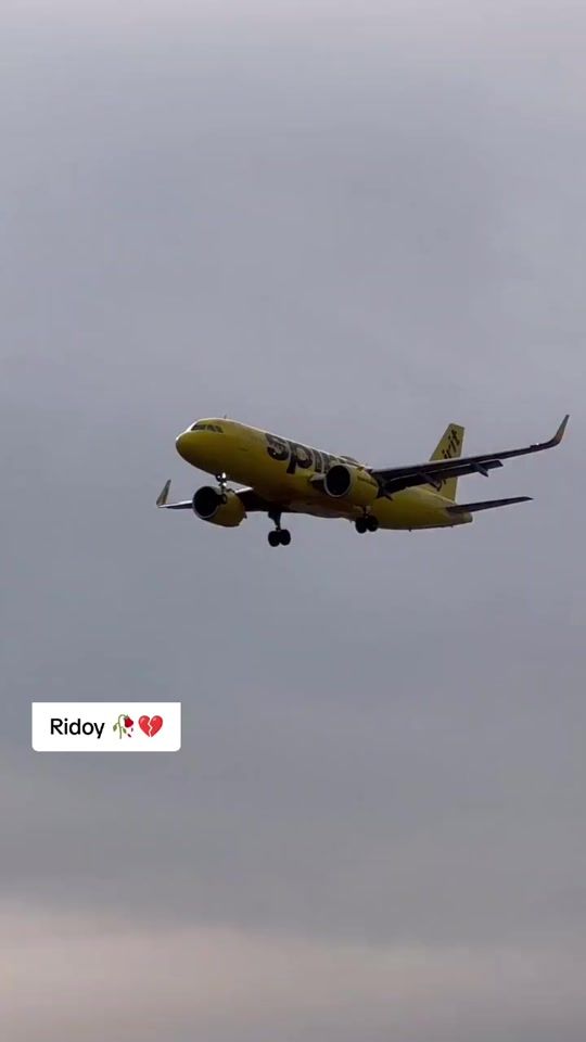 TikTok video thumbnail by llevyouma