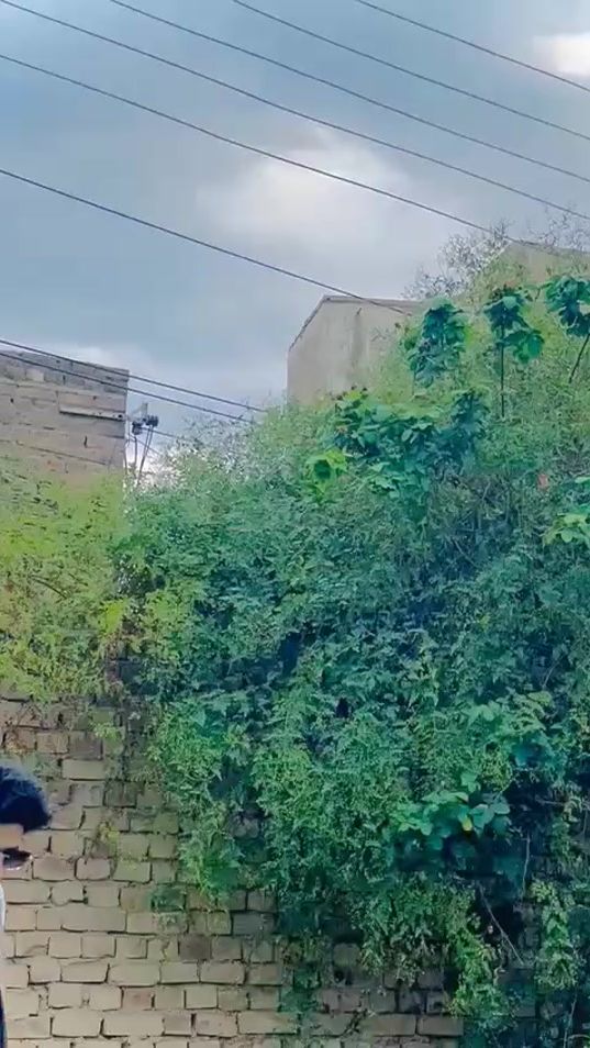 TikTok video thumbnail by bilalmuhammad984