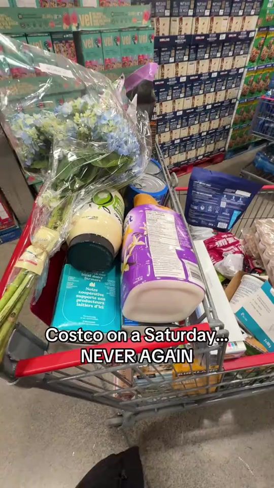 TikTok video thumbnail by francescsbudget