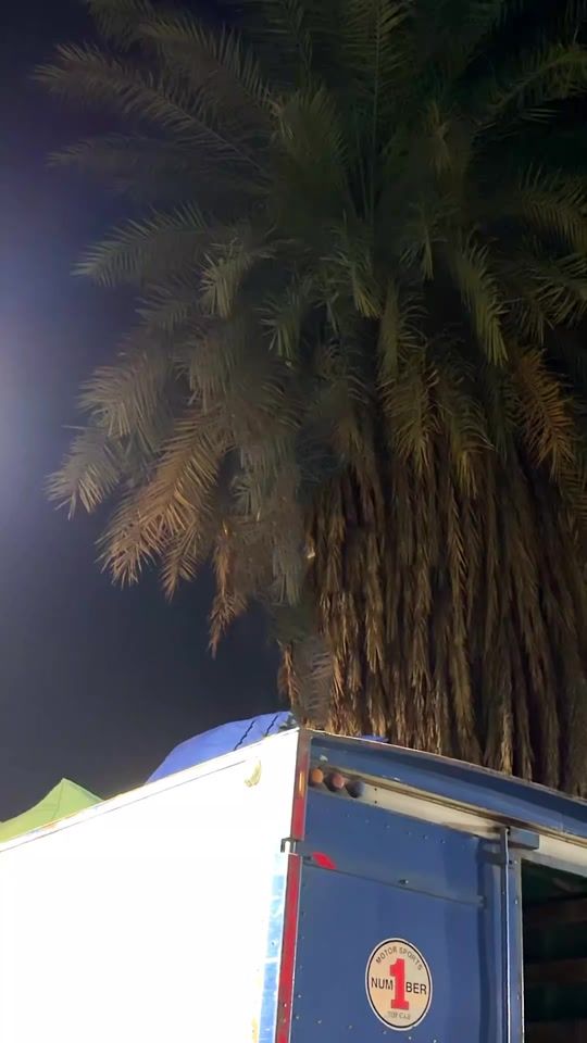 TikTok video thumbnail by roknk_eg