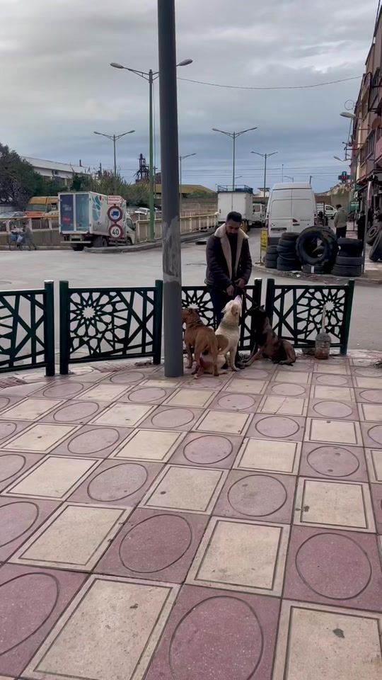 TikTok video thumbnail by ayoubboufares