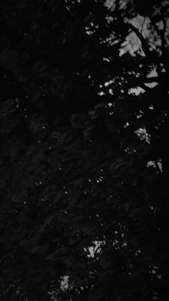 TikTok video thumbnail by ei.kyal.sin96