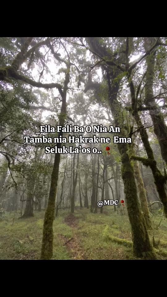 TikTok video thumbnail by fhy0032