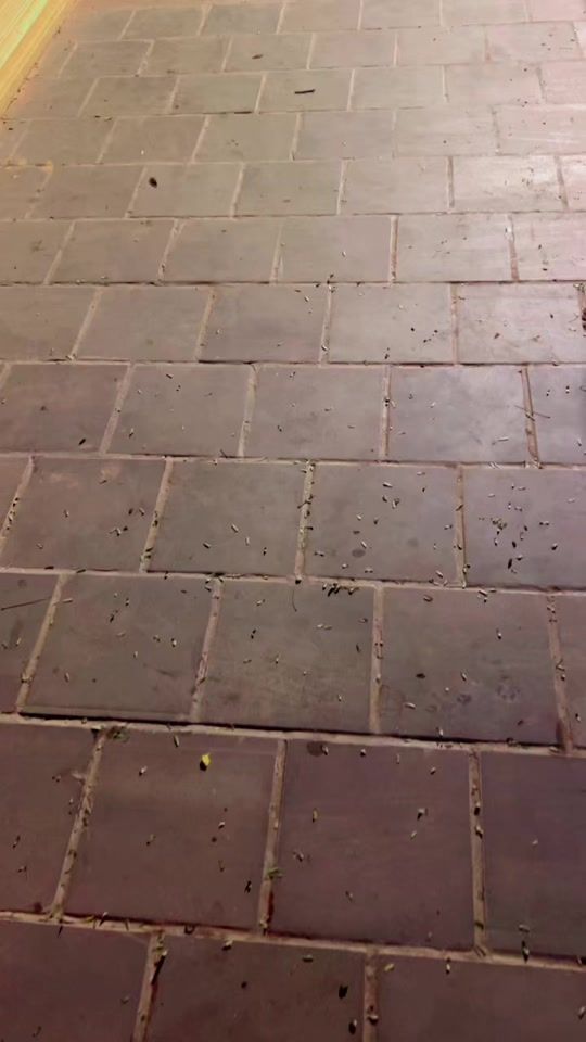 TikTok video thumbnail by hashimanamendra