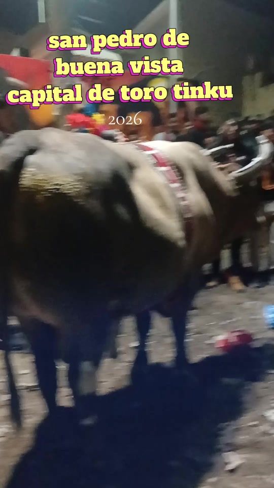 TikTok video thumbnail by lizviaperez2