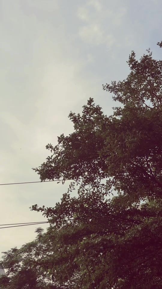 TikTok video thumbnail by ruhikabir07