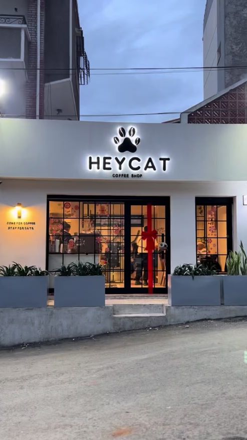 TikTok video thumbnail by heycat.dz