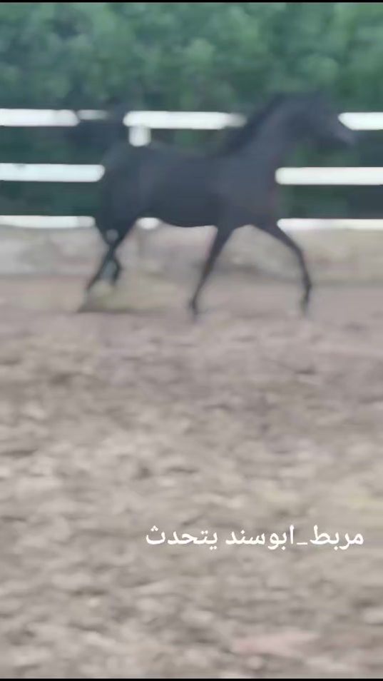 TikTok video thumbnail by m210h1