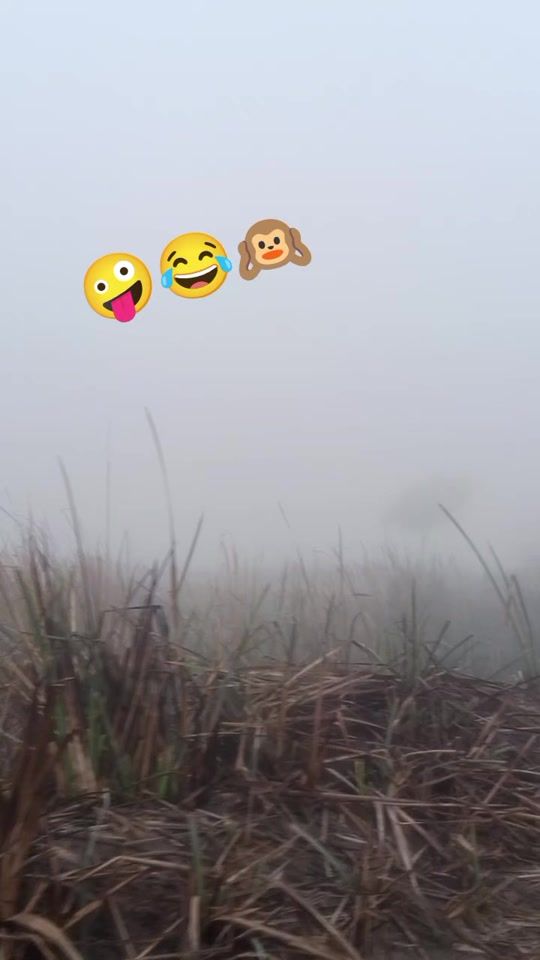 TikTok video thumbnail by khanaddit