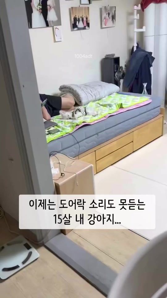 TikTok video thumbnail by 1004adt