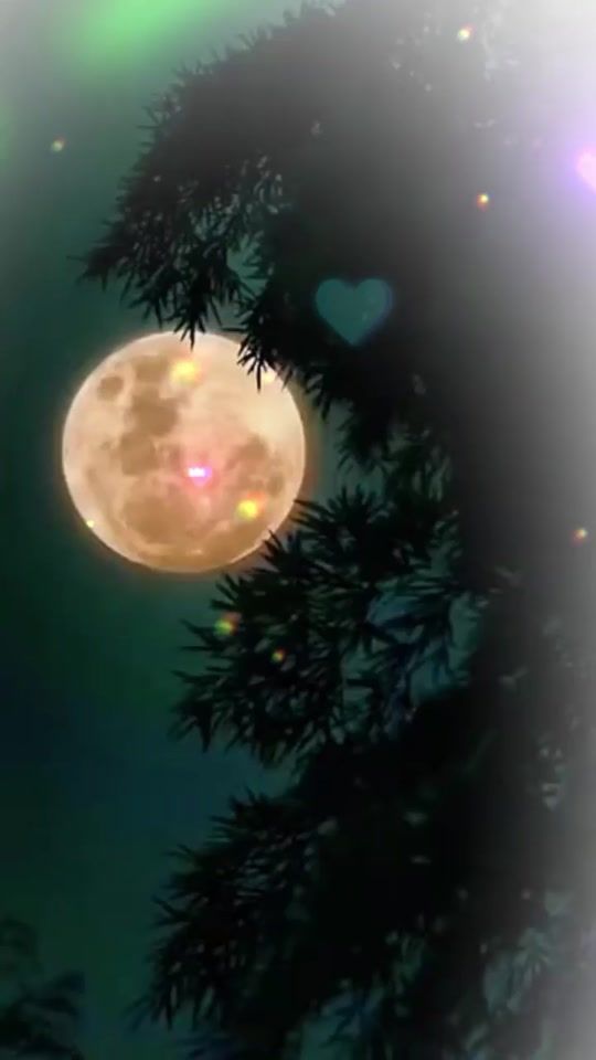 TikTok video thumbnail by nildovitorr