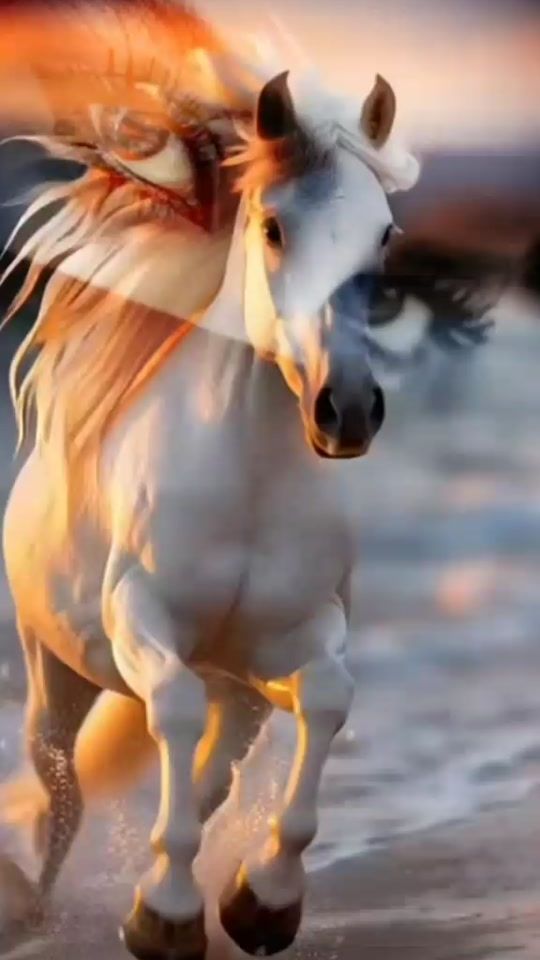 TikTok video thumbnail by gulum_740