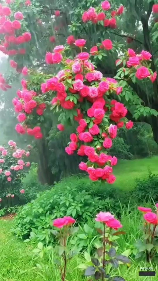 TikTok video thumbnail by pbx1meharsab