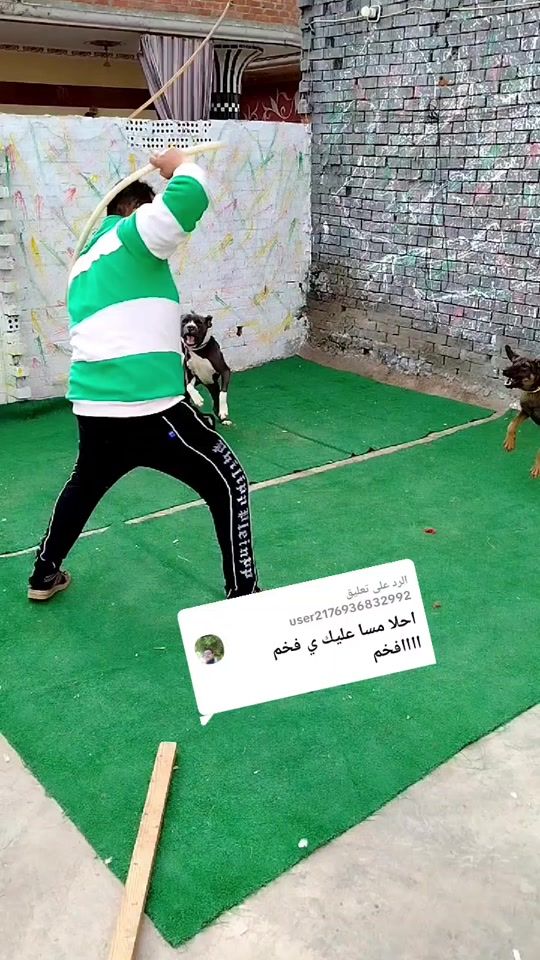 TikTok video thumbnail by abo.mahak