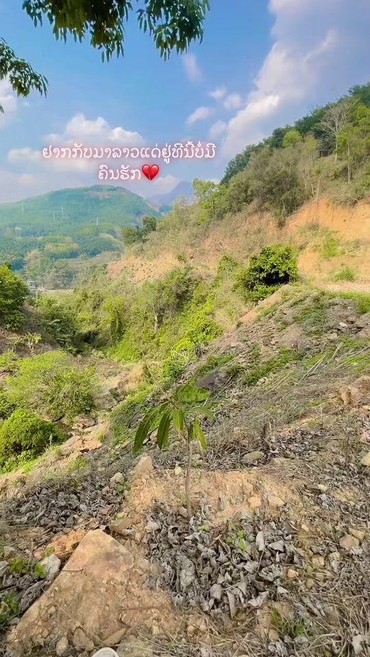 TikTok video thumbnail by user7202425486655
