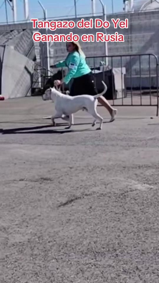 TikTok video thumbnail by martinparapar