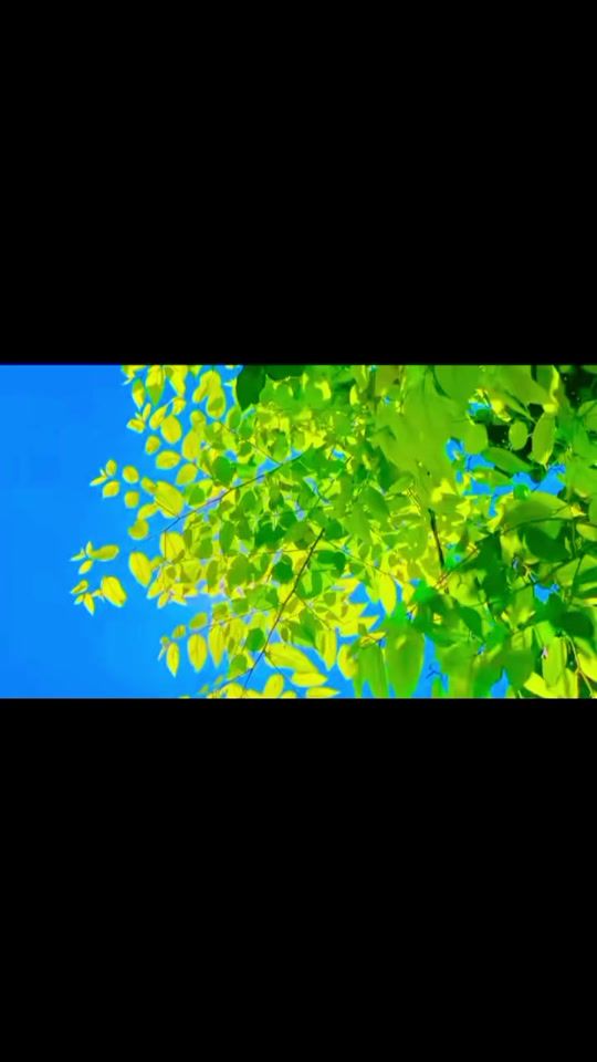TikTok video thumbnail by sahead47