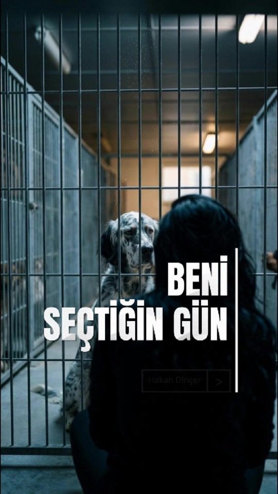 TikTok video thumbnail by verpatini