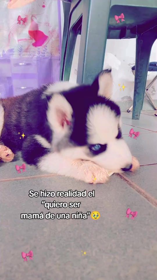 TikTok video thumbnail by gladys_h.c